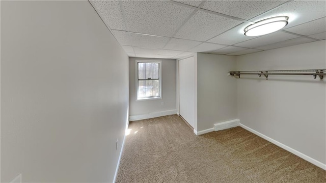 below grade area with carpet, a drop ceiling, and baseboards