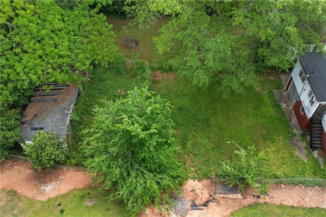 bird's eye view