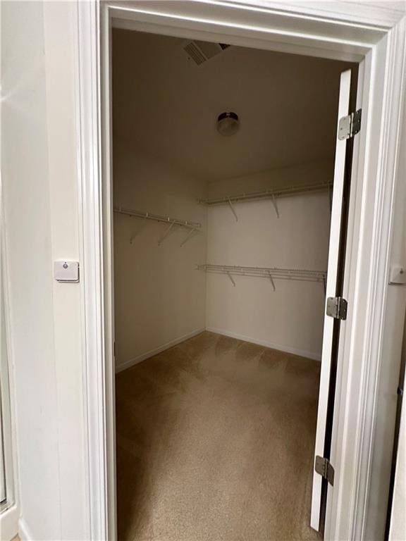 spacious closet featuring carpet