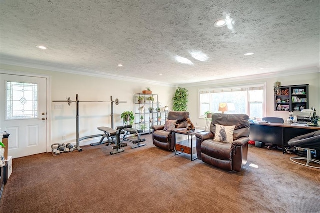 interior space with crown molding, carpet floors, and a textured ceiling