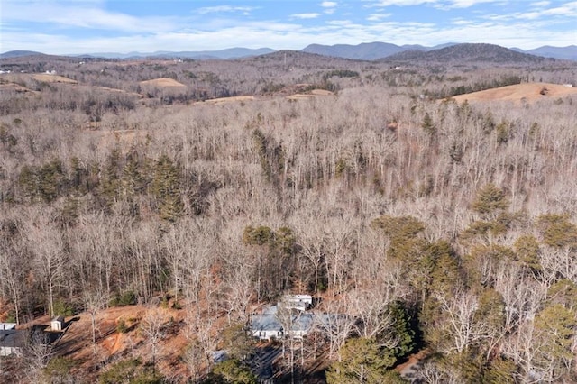 property view of mountains