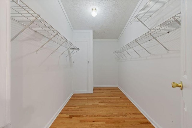 spacious closet with hardwood / wood-style floors