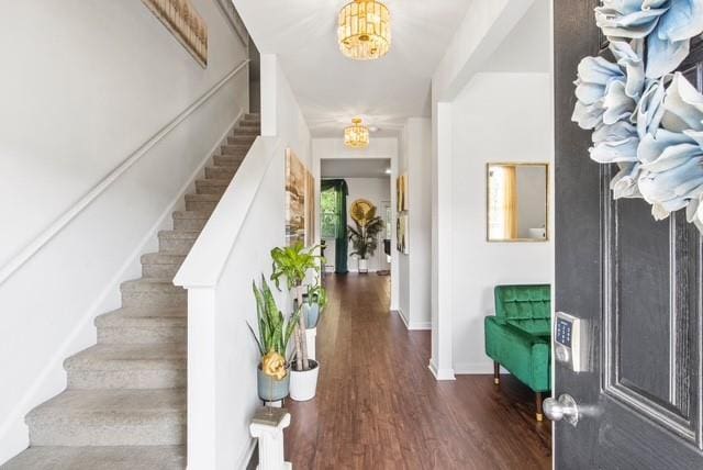 foyer featuring a notable chandelier and dark wood-type flooring