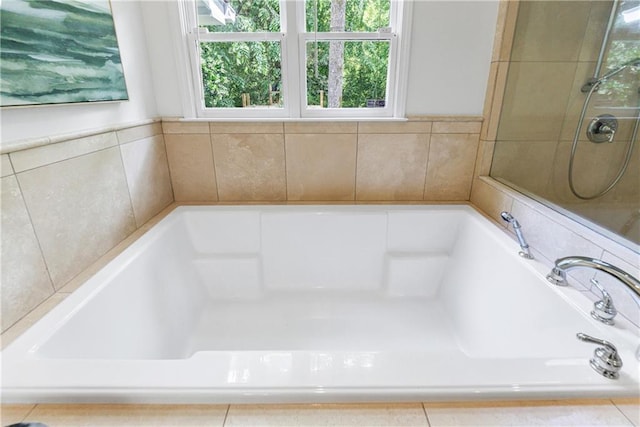 bathroom featuring a bathing tub