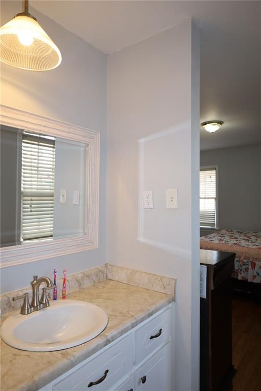 bathroom featuring wood finished floors and vanity