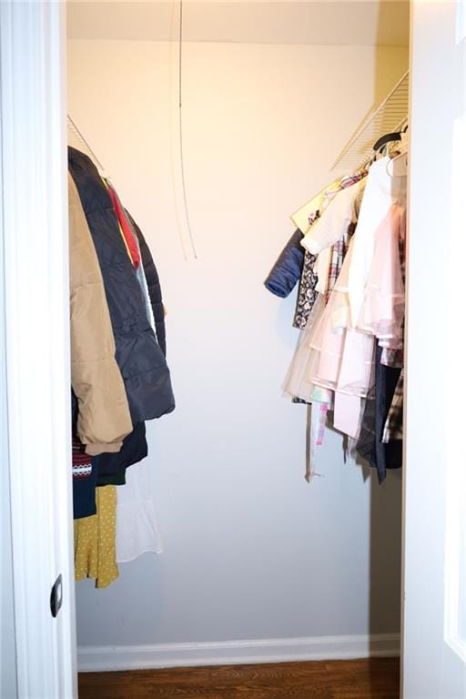 spacious closet featuring wood finished floors