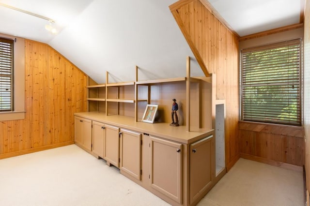 6596 Wright Rd NE, Atlanta, GA 30328 - additional living space with wood walls, light carpet, and lofted ceiling