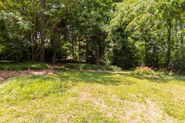 6596 Wright Rd NE, Atlanta, GA 30328 - view of yard with a wooded view