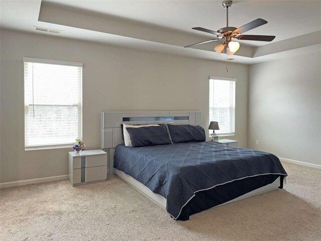3062 Hawthorn Farm Blvd, Loganville, GA 30052 - bedroom with carpet flooring, a raised ceiling, multiple windows, and baseboards