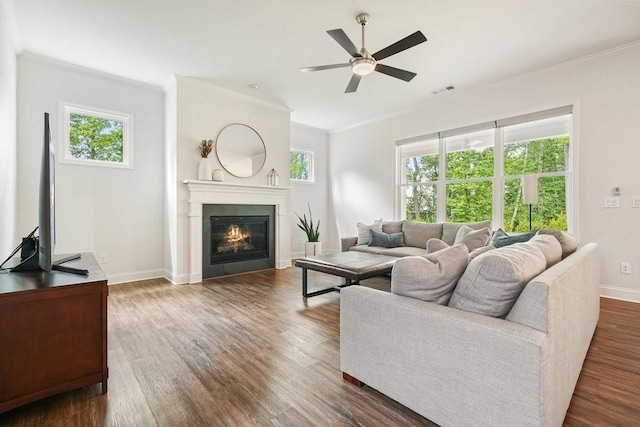 living area featuring crown molding, a ceiling fan, and dark wood-style floors
