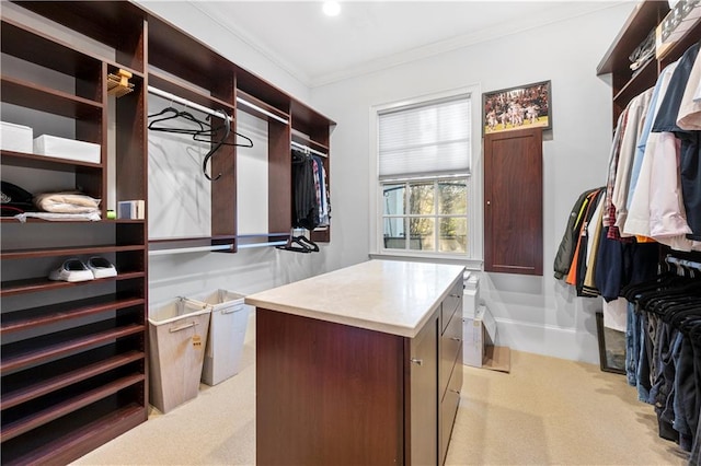 spacious closet with light colored carpet