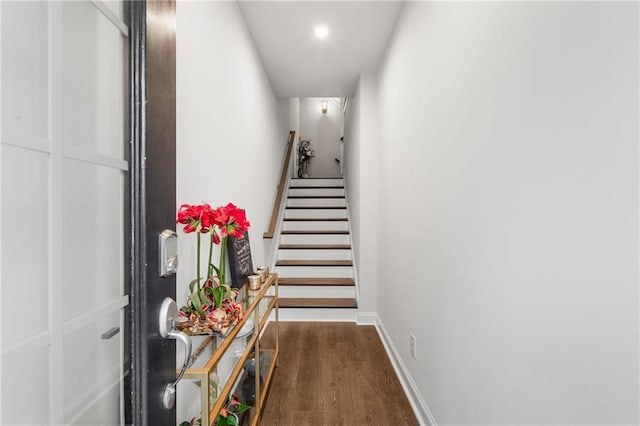 hall featuring dark wood-type flooring