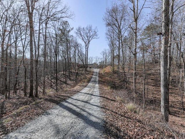 view of road