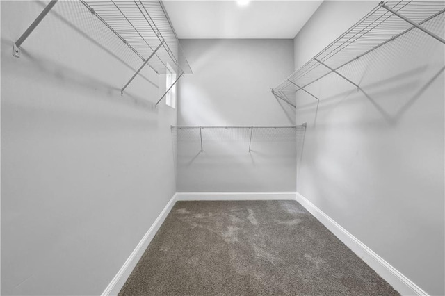 walk in closet with dark carpet