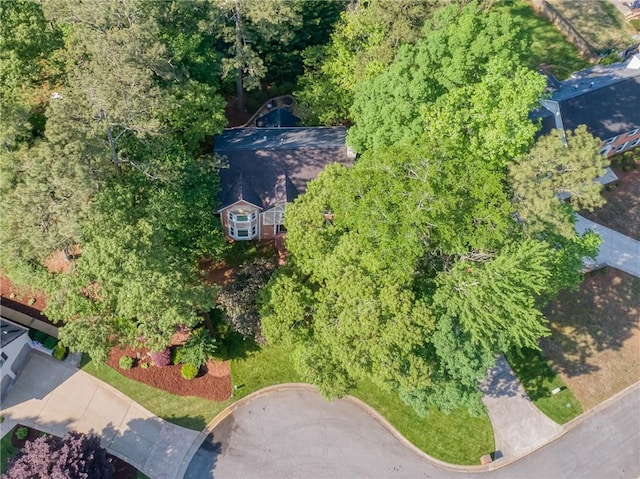 bird's eye view