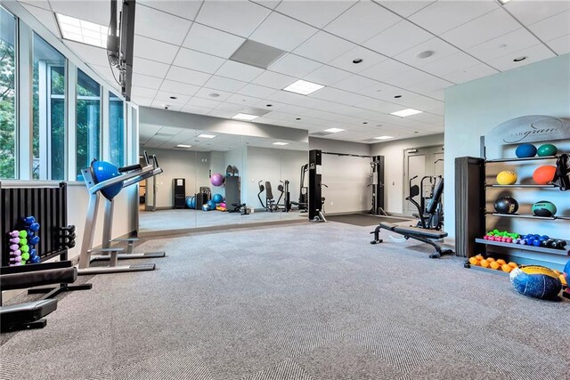 exercise room with a paneled ceiling and carpet floors