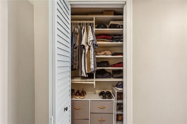 view of closet