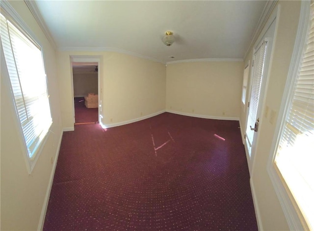 spare room featuring carpet flooring and ornamental molding