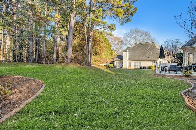 view of yard featuring a patio area