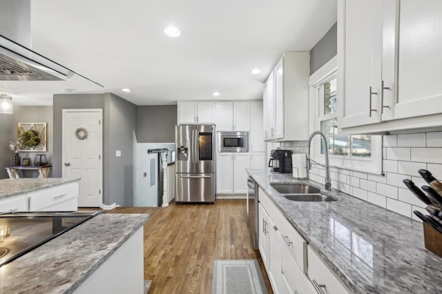 kitchen with stainless steel appliances, wood finished floors, a sink, white cabinetry, and decorative backsplash