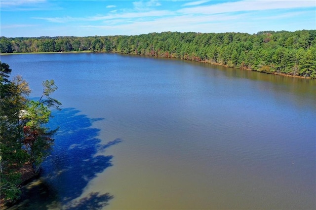 property view of water with a forest view