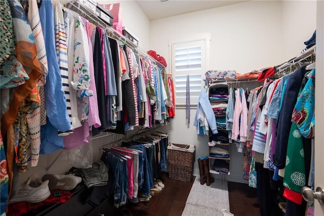244 Rope Mill Rd, Woodstock, GA 30188 - walk in closet featuring wood finished floors