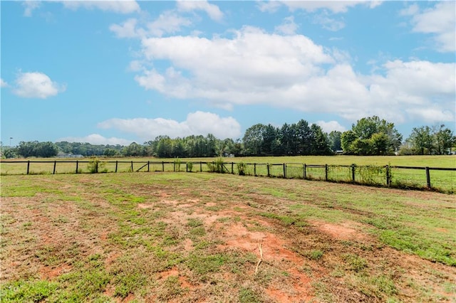 view of yard with a rural view