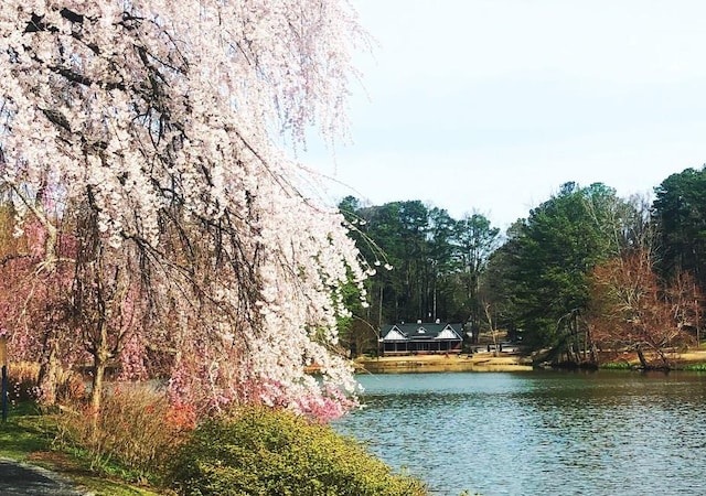 view of water feature