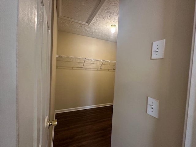 walk in closet featuring wood finished floors