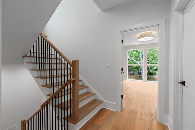 stairs with hardwood / wood-style floors