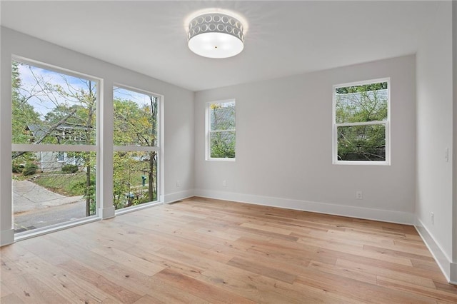 spare room with light hardwood / wood-style flooring