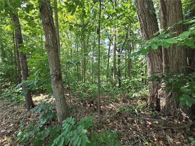 0 Peek Rd NW, Atlanta, GA 30318