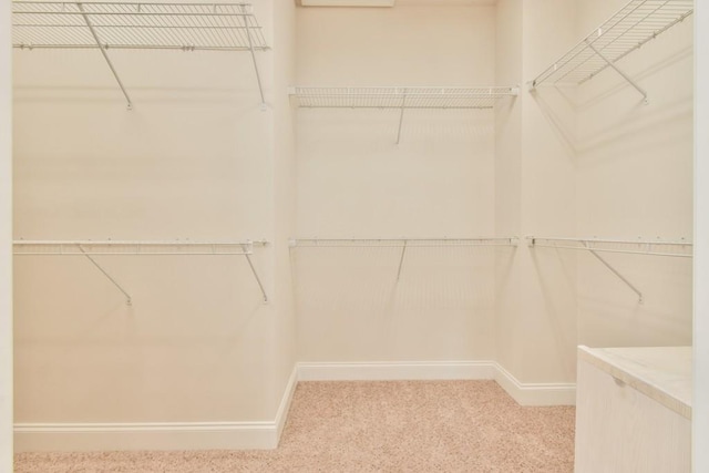 spacious closet featuring carpet flooring