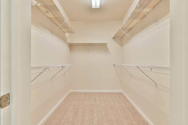 walk in closet with carpet