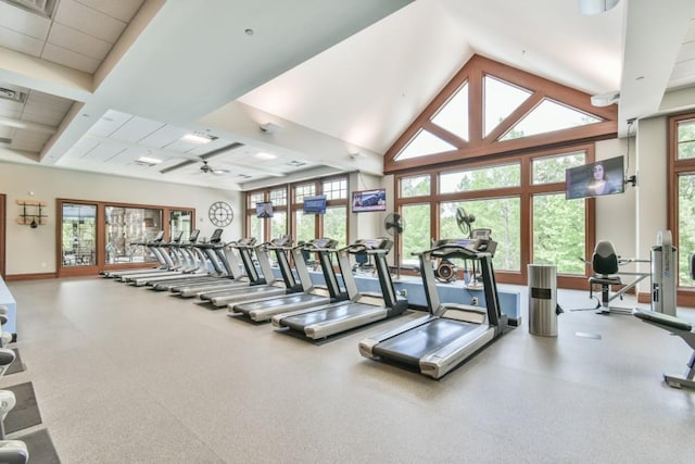workout area featuring healthy amount of natural light and baseboards