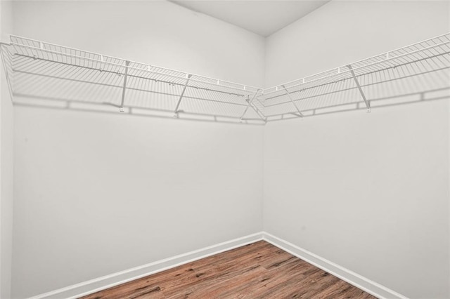 walk in closet featuring wood finished floors