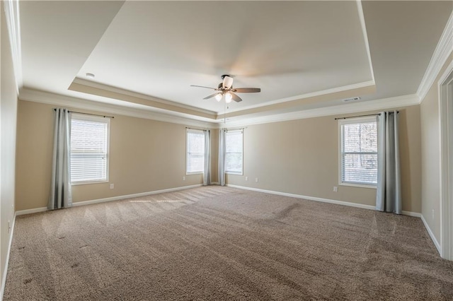 carpeted spare room with a raised ceiling and a healthy amount of sunlight