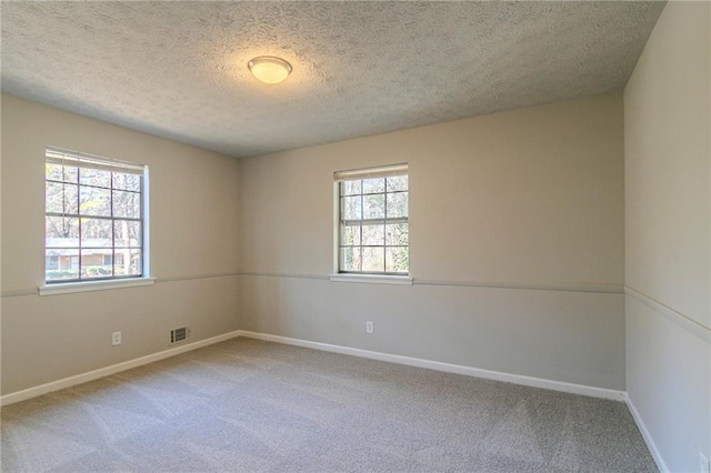 carpeted spare room with plenty of natural light and a textured ceiling