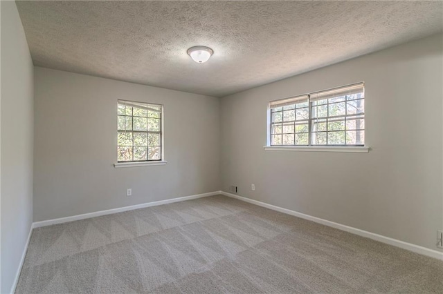 carpeted spare room with a textured ceiling and a wealth of natural light