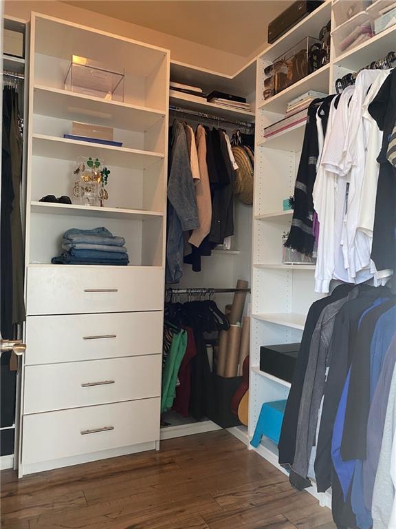 spacious closet featuring dark wood-type flooring