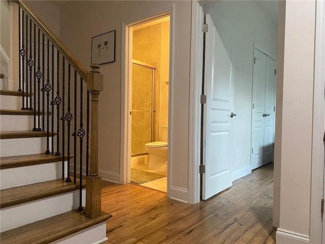 stairway featuring wood-type flooring