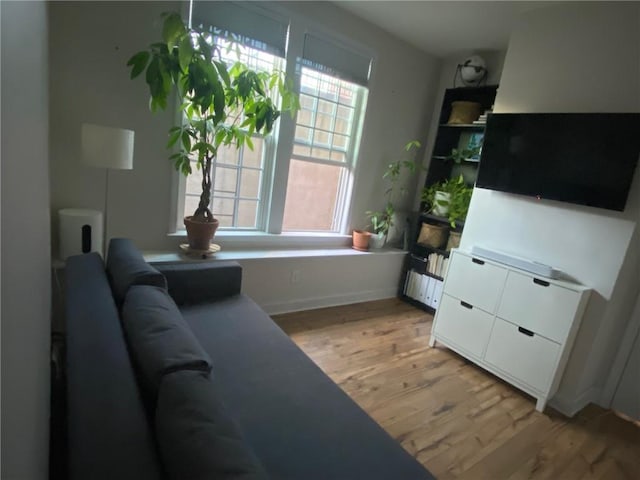 living room with light hardwood / wood-style flooring