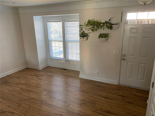 entrance foyer featuring a wealth of natural light, dark hardwood / wood-style floors, and ornamental molding