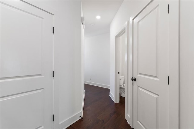 corridor featuring dark wood-type flooring