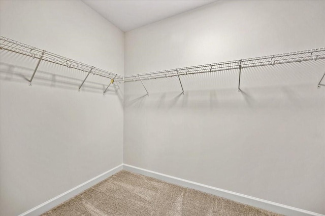 walk in closet featuring carpet