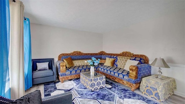 living room with hardwood / wood-style flooring