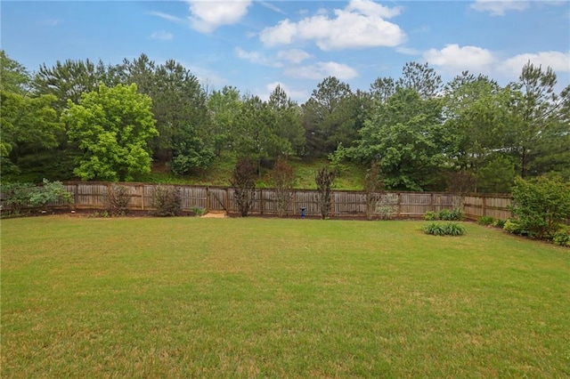 view of yard with a fenced backyard