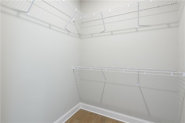 walk in closet with wood-type flooring