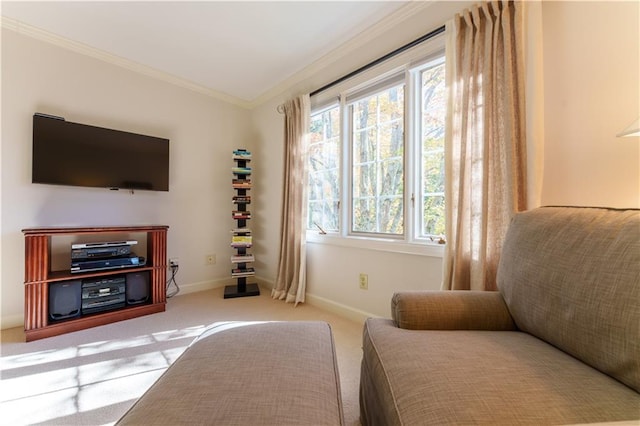 carpeted living room featuring crown molding and baseboards