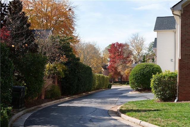 view of street featuring curbs